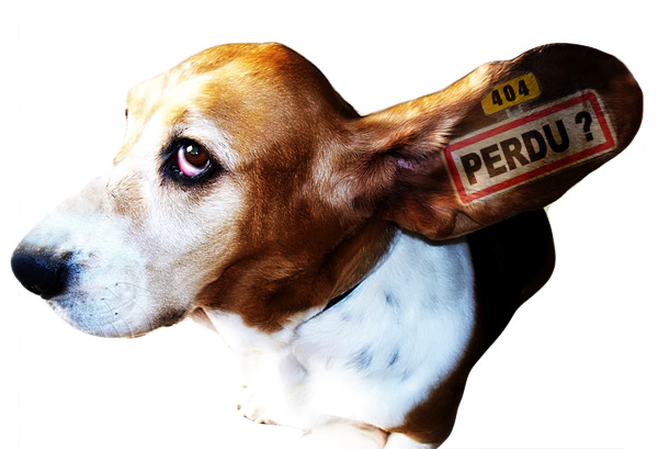 PERDU