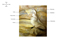 Image lgende