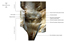 Image lgende