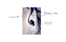Image lgende