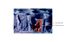 Image lgende