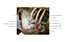 Image lgende