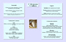 Fiche abomasum