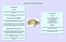 Fiche omentums