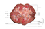 Image lgende