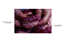 Image lgende