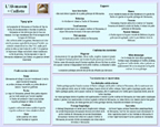 Fiche abomasum