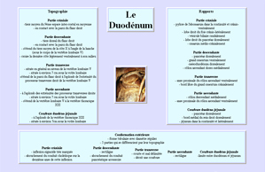 Fiches appareildigestif