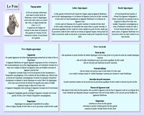 Fiche foie