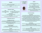 Fiche omasum