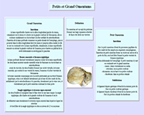 Fiche omentums
