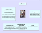 Fiche pancréas