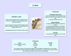 Fiche rate