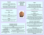 Fiche réticulum