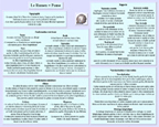 Fiche rumen