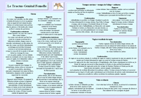 Fiche voies génitales femelles