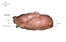 Image lgende