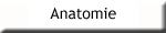 anatomie