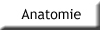 anatomie