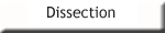 dissection