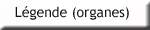 legendeorgane