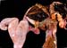 maceration_foetale_ov
