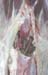 momification_brebis_francoise_garapin (1)