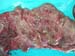 placentitis_purulento_necrotica_con_intensa_vasculitis_en_un_caso_de_aborto_enzootico