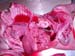 suspicion_avort_chlam_ov_ginie (12)
