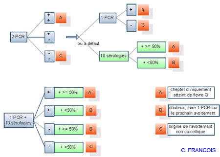 schema_diagnostic_interpret_fievre_q copie