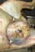mc_gangreneuse_debut_ov