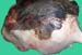 mc_gangreneuse_sillon disjoncteur_ov