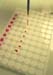 epreuve_antigene_tamponne