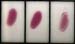 epreuve_antigene_tamponne2