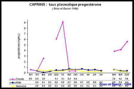 progesteronemie_cp